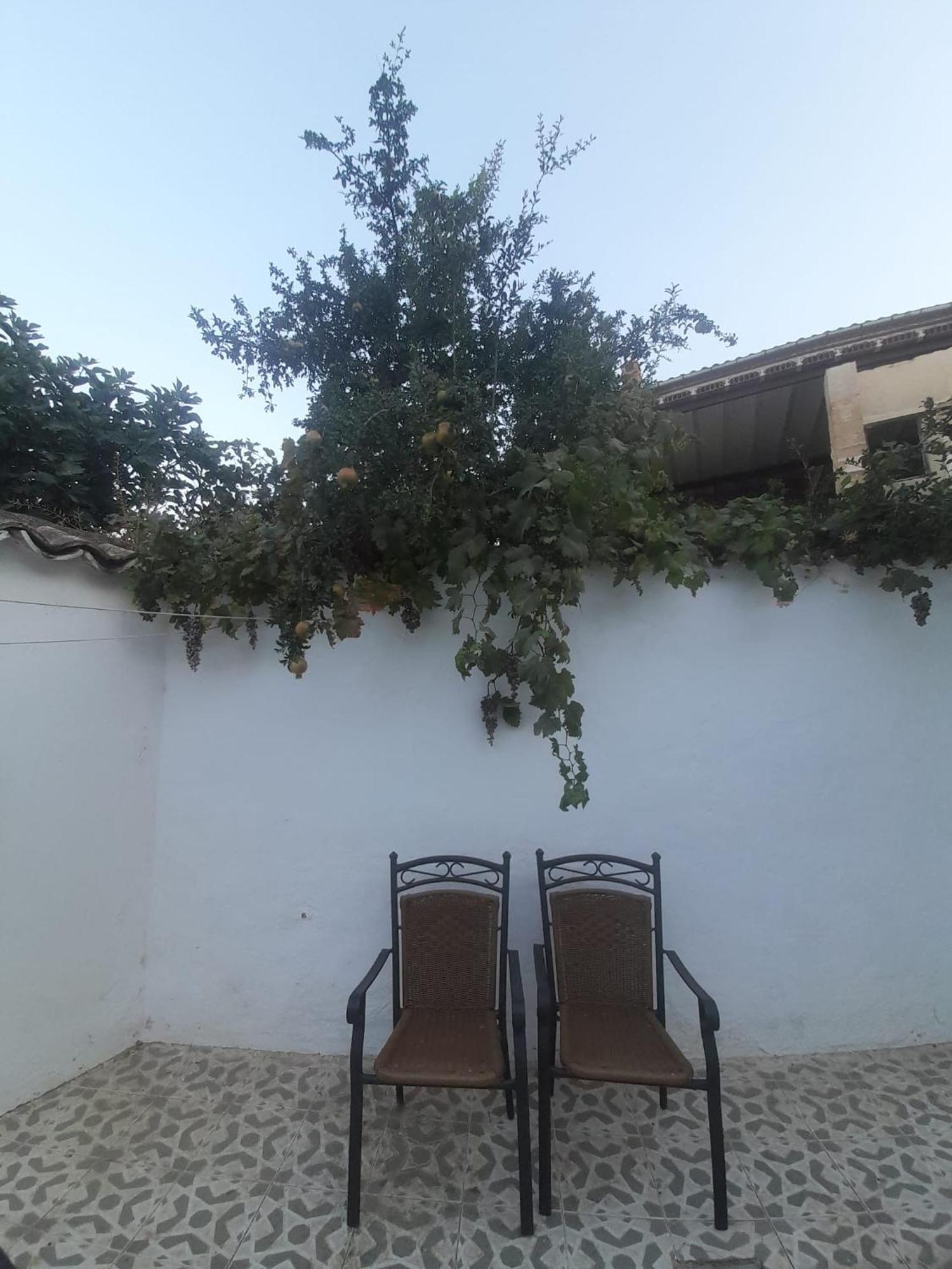 El Molino De Aceite Vila Baeza Exterior foto